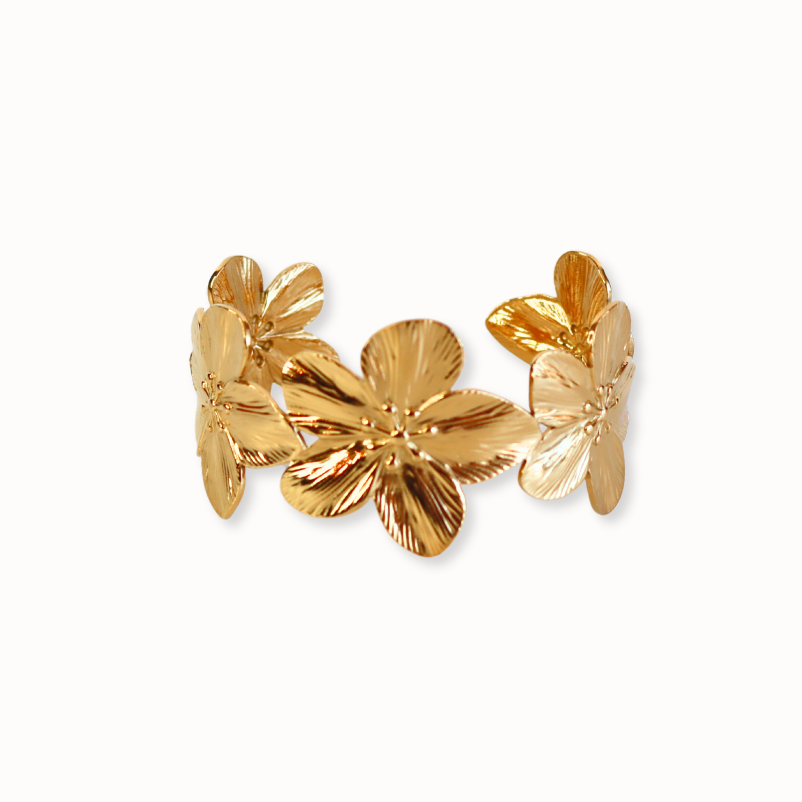 PHC2516B